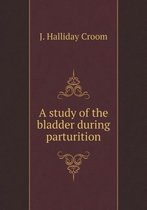 A Study of the Bladder During Parturition