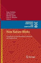 Emergence, Complexity and Computation- How Nature Works