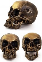 Skelet hoofd goud 18cm