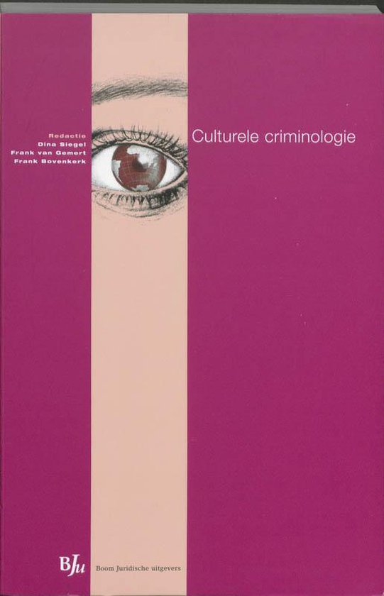 Culturele criminologie - cover