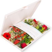 Bloomgift | Boeket Merry X-Mas | Hét cadeau door de brievenbus voor Kerst