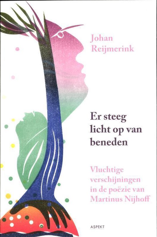 Cover van het boek 'Vluchtige verschijningen' van J. Reijmerink