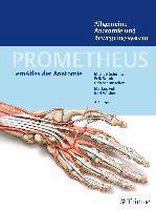 Prometheus Allgemeine Anatomie Und Beweg