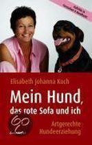 Mein Hund, das rote Sofa und ich