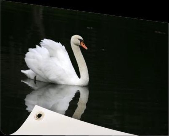 Affiche de jardin Gracieux nageur 120x80 cm - Toile de jardin / Toile d'extérieur / Peintures d'extérieur (décoration de jardin)