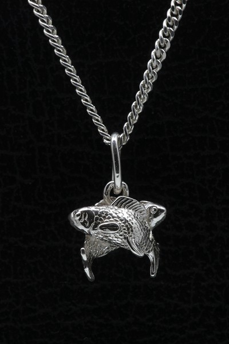 Zilveren Sterrenbeeld Vissen ketting hanger - klein