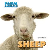 Sheep Farm Animals