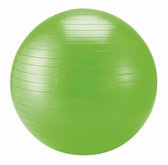 Schildkrot Fitnessbal - Ø 65 cm - Groen