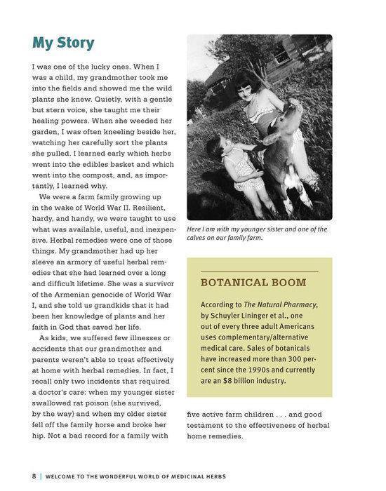 Beginners Guide To Medicinal Herbs