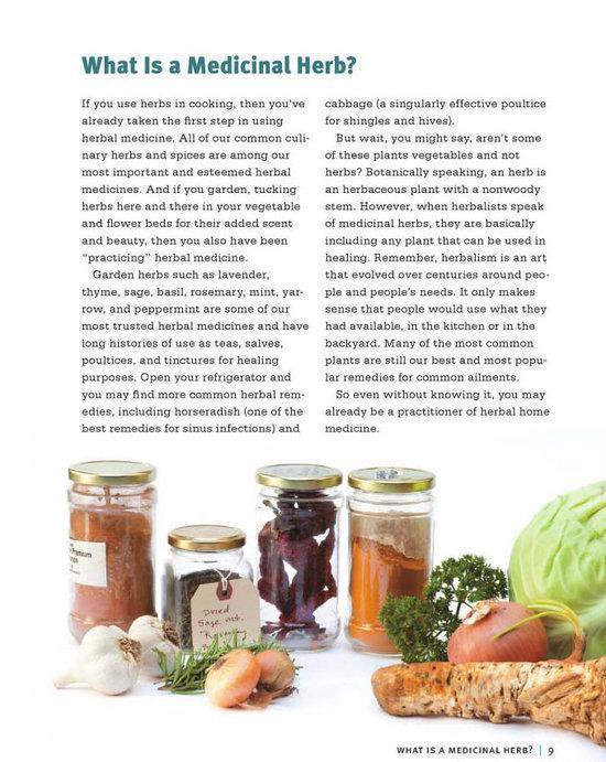 Beginners Guide To Medicinal Herbs