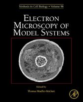 Electron Microscopy of Model Systems