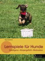 Lernspiele für Hunde