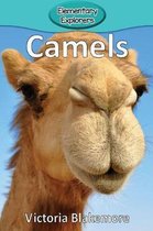 Elementary Explorers- Camels