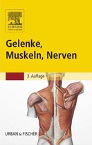 Gelenke, Muskeln, Nerven