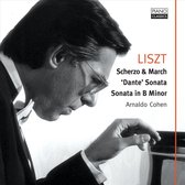 Liszt; Sonata In B Minor