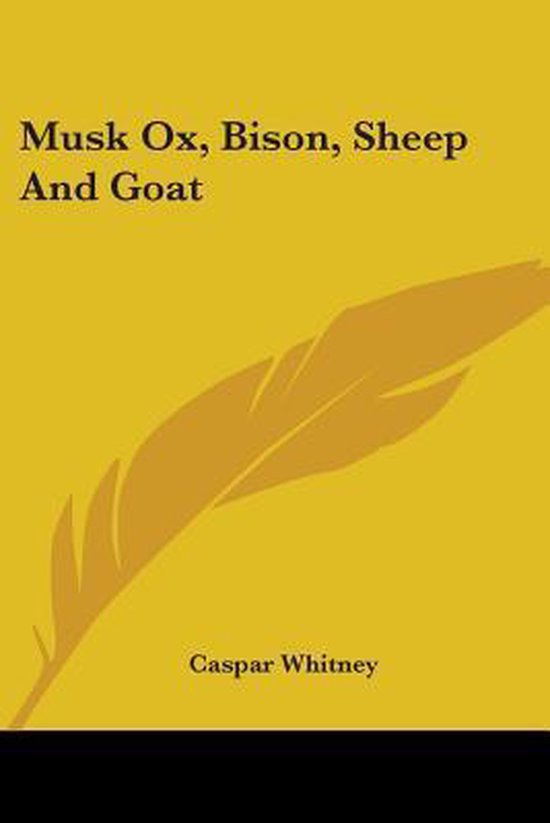 Musk Ox, Bison, Sheep And Goat