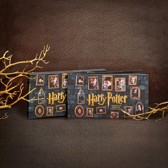 Harry Potter - Complete 8-Film Collection (DVD) (Special Edition)