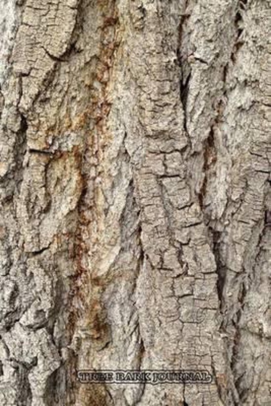 Tree Bark Journal 9781512313833 Cool Image Boeken