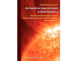 The Hamilton-Type Principle In Fluid Dynamics