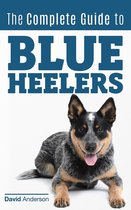 The Complete Guide to Blue Heelers