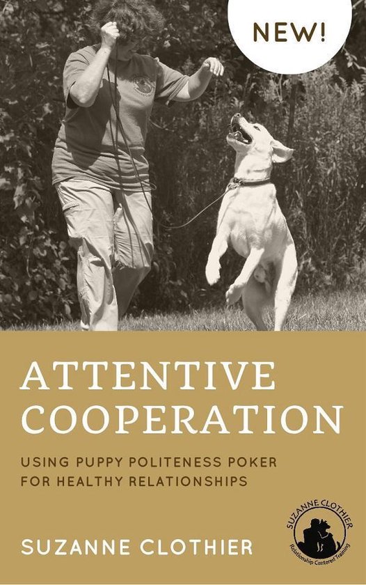 Attentive Cooperation - cover