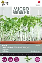 Buzzy® Micro Greens, vert Mizuna