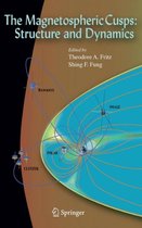 The Magnetospheric Cusps