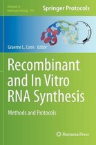 Recombinant and In Vitro RNA Synthesis