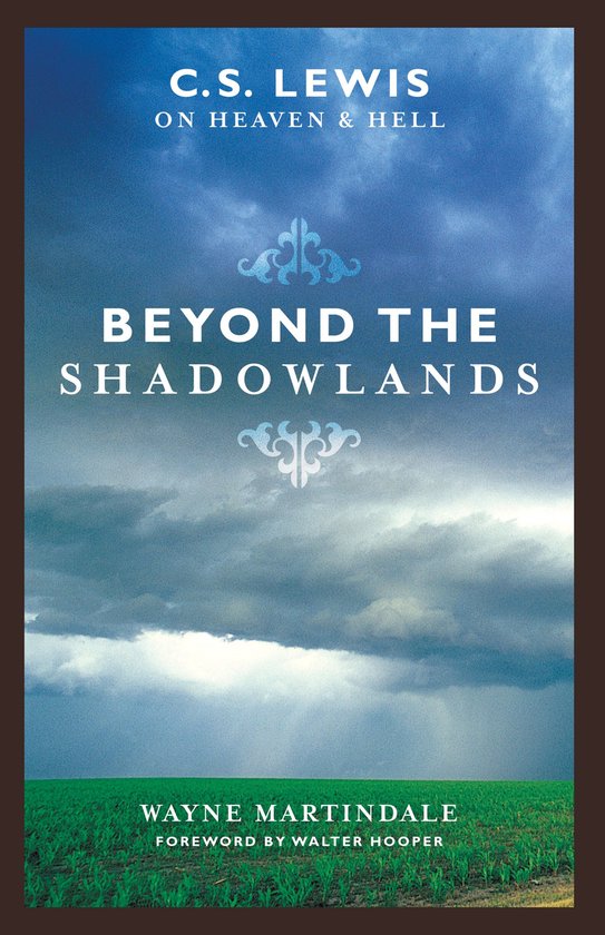 Boekhoes met de titel 'BEYOND THE SHADOWLANDS' in grote letters tegen een dramatische hemel.