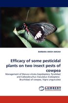 Efficacy of Some Pesticidal Plants on Two Insect Pests of Cowpea
