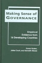Making Sense of Governance