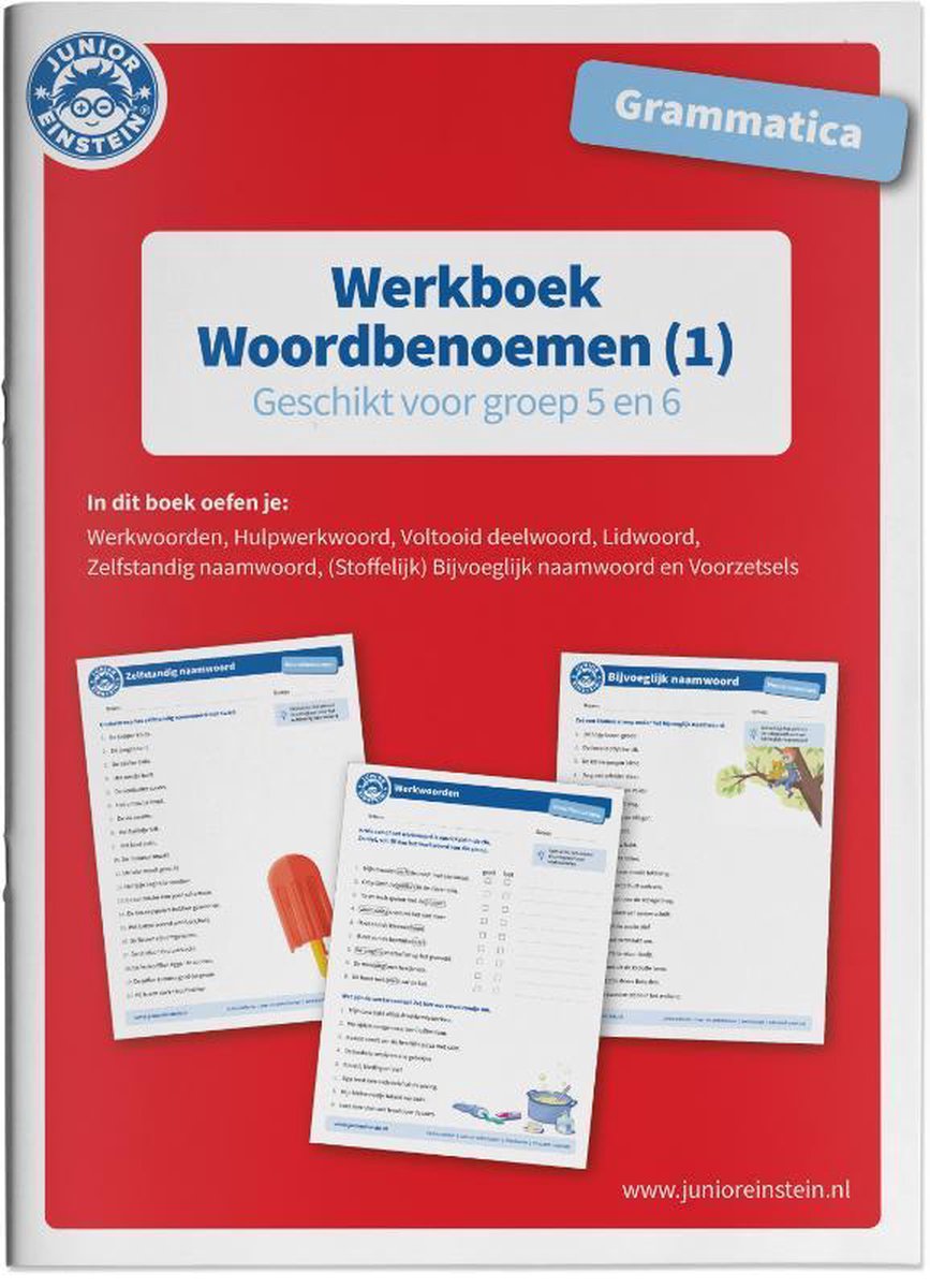 Grammatica Woordbenoemen 1 Geschikt Voor Groep 5 En 6 Werkboek 9789493128132 Boeken Bol