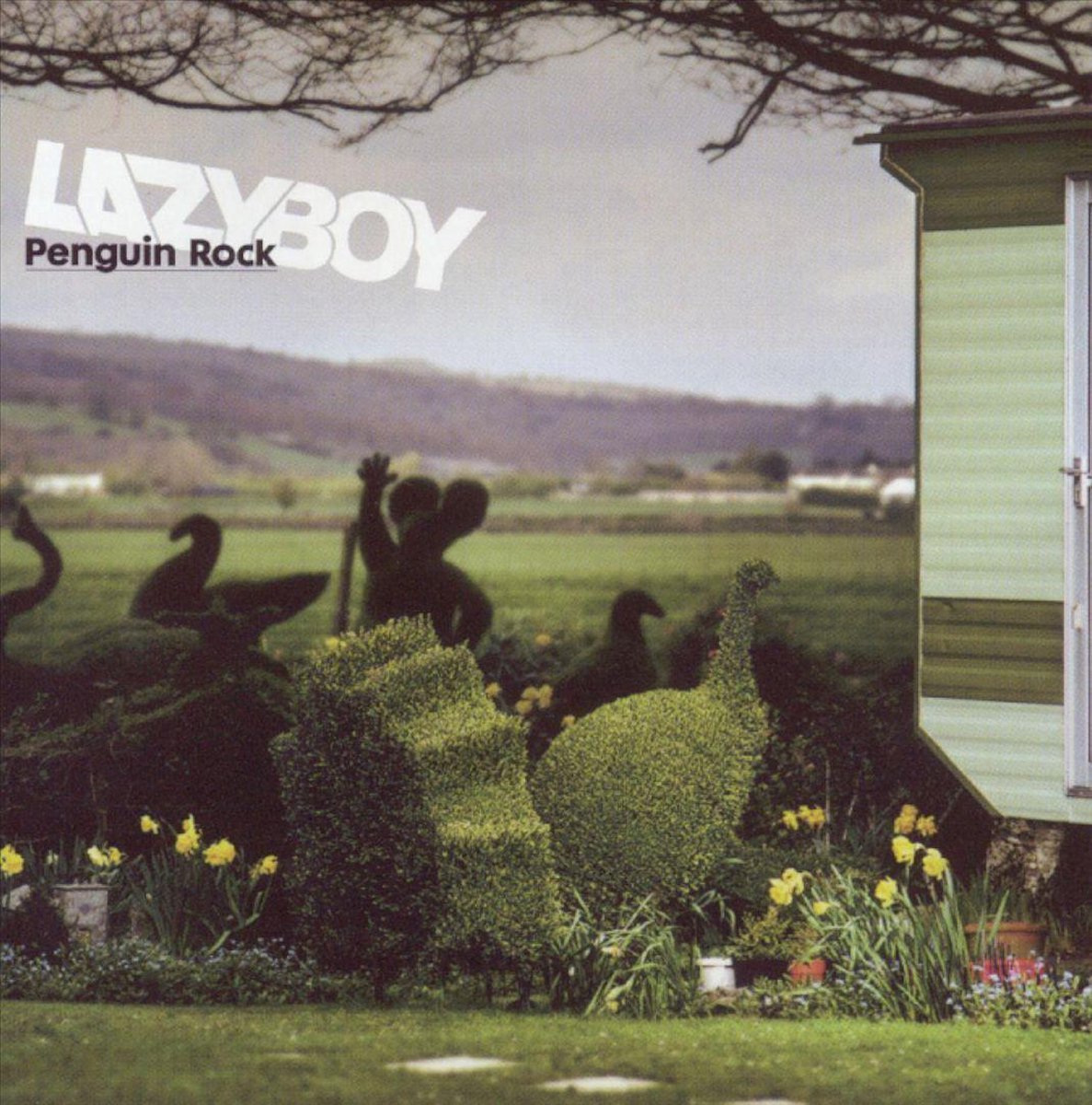 Penguin Rock