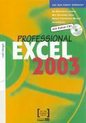 Excel 2003 Professional