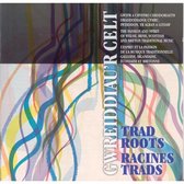 Various Artists - Gwreiddiau'r Celt / Trad Roots (CD)