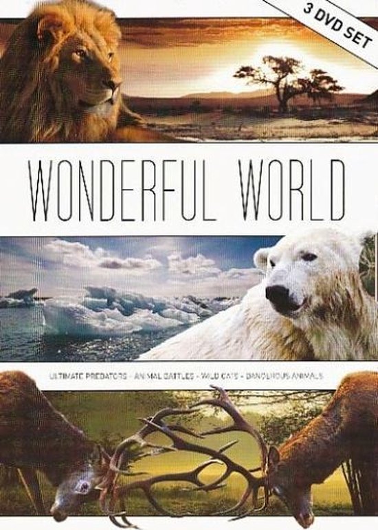 Cover van de film 'Wonderful World Box'