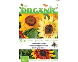 Zonnebloem Compact Spray Organic Seeds (Bio)