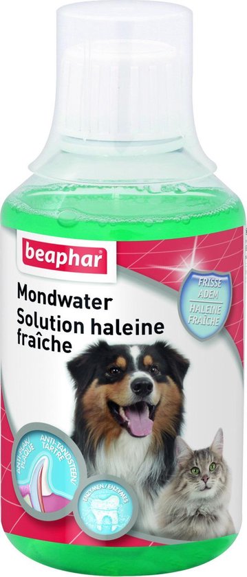Beaphar Mondwater hond/kat 250ml