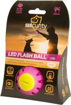 LED bal voor honden