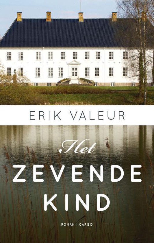 Omslag van Het zevende kind