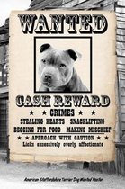 American Staffordshire Terrier Dog Wanted Poster