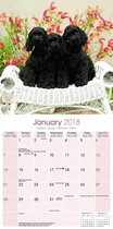 Cocker Spaniel (Us) Calendar 2018