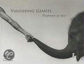 Vanishing Giants