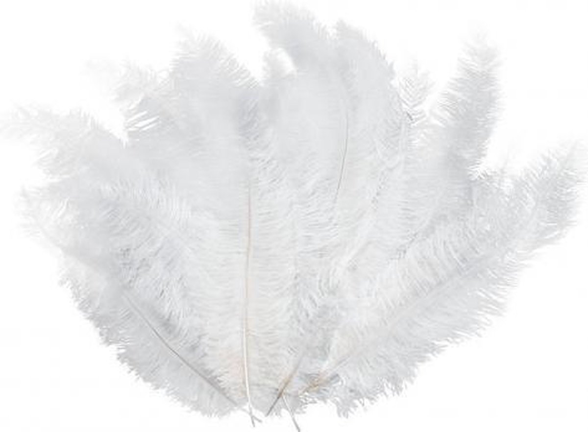 Kaarsen belofte Beschrijvend 12 Luxe witte veren | bol.com