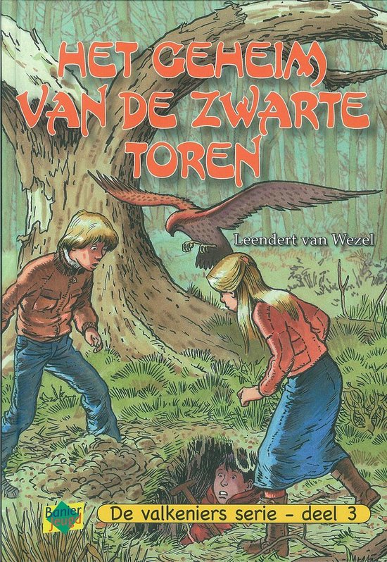 De Valkeniers serie 3 - Het geheim van de zwarte toren