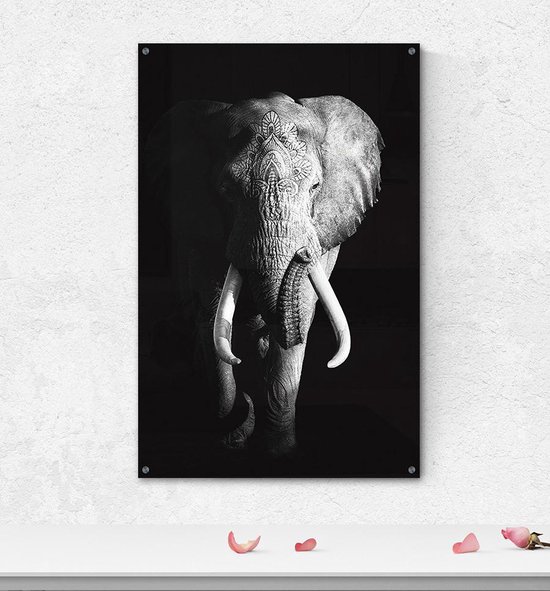 zuur Sympton Gebakjes Poster olifant op plexiglas | bol.com