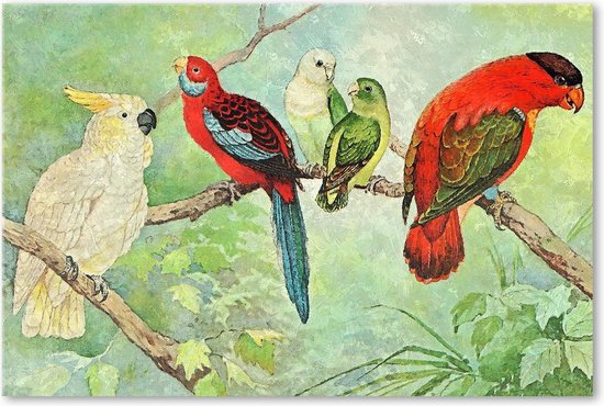 Graphic Message - Schilderij Print op Canvas - Vogels - Papegaaien - Woonkamer