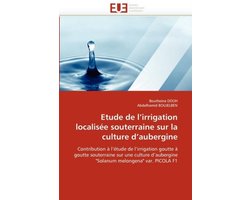 Etude de l'irrigation localisée souterraine sur la culture d'aubergine