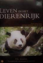 Het Leven Van De Panda