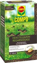 Réparation de pelouse 1kg - 50m² avec germination rapide